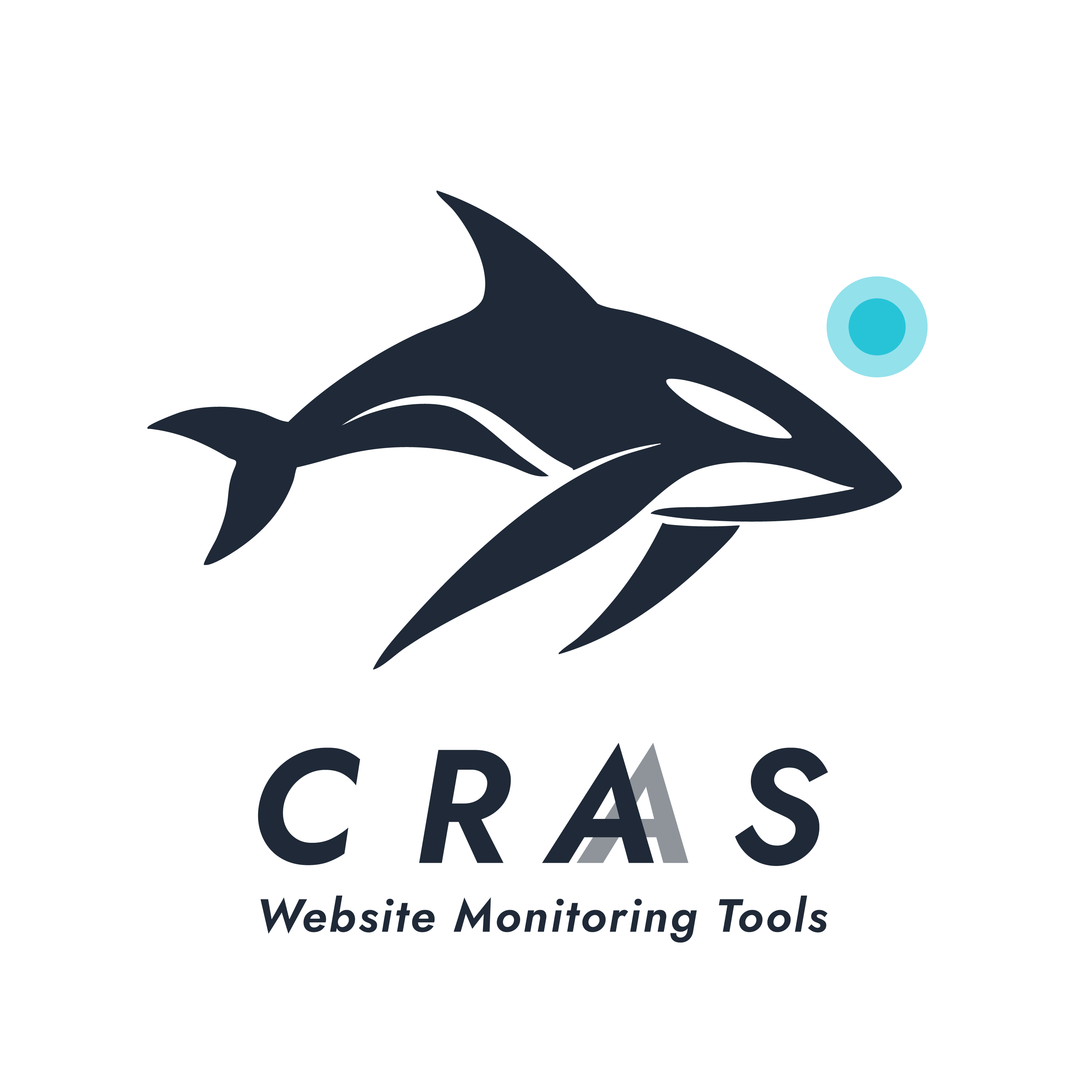 Website monitoring systems (“CRAS”) project image